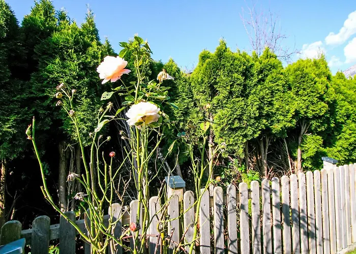 Lisa By Interhome Apartment *