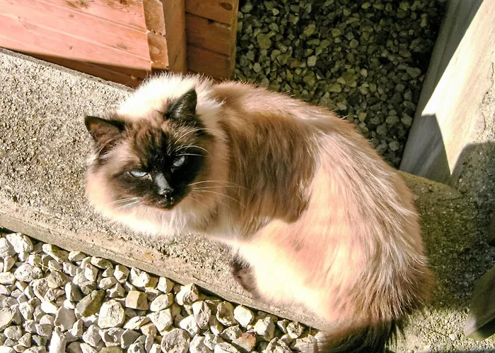 Lisa By Interhome 韦兴