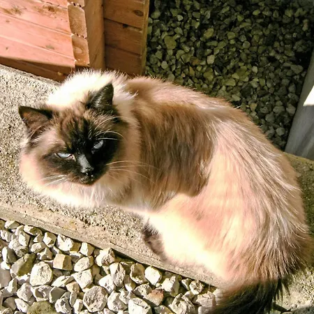 Lisa By Interhome 韦兴