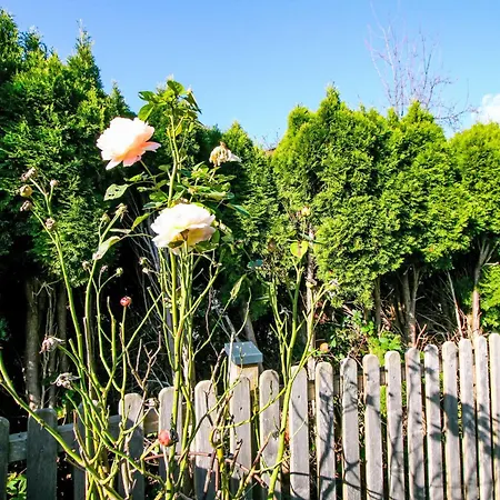 Lisa By Interhome 公寓 *